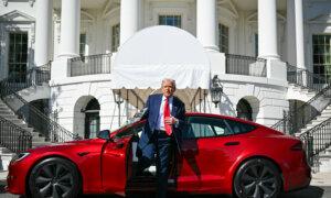 Day in Photos: Donald Trump Endorses Tesla, Greenland Elections, and Rescued Elephant