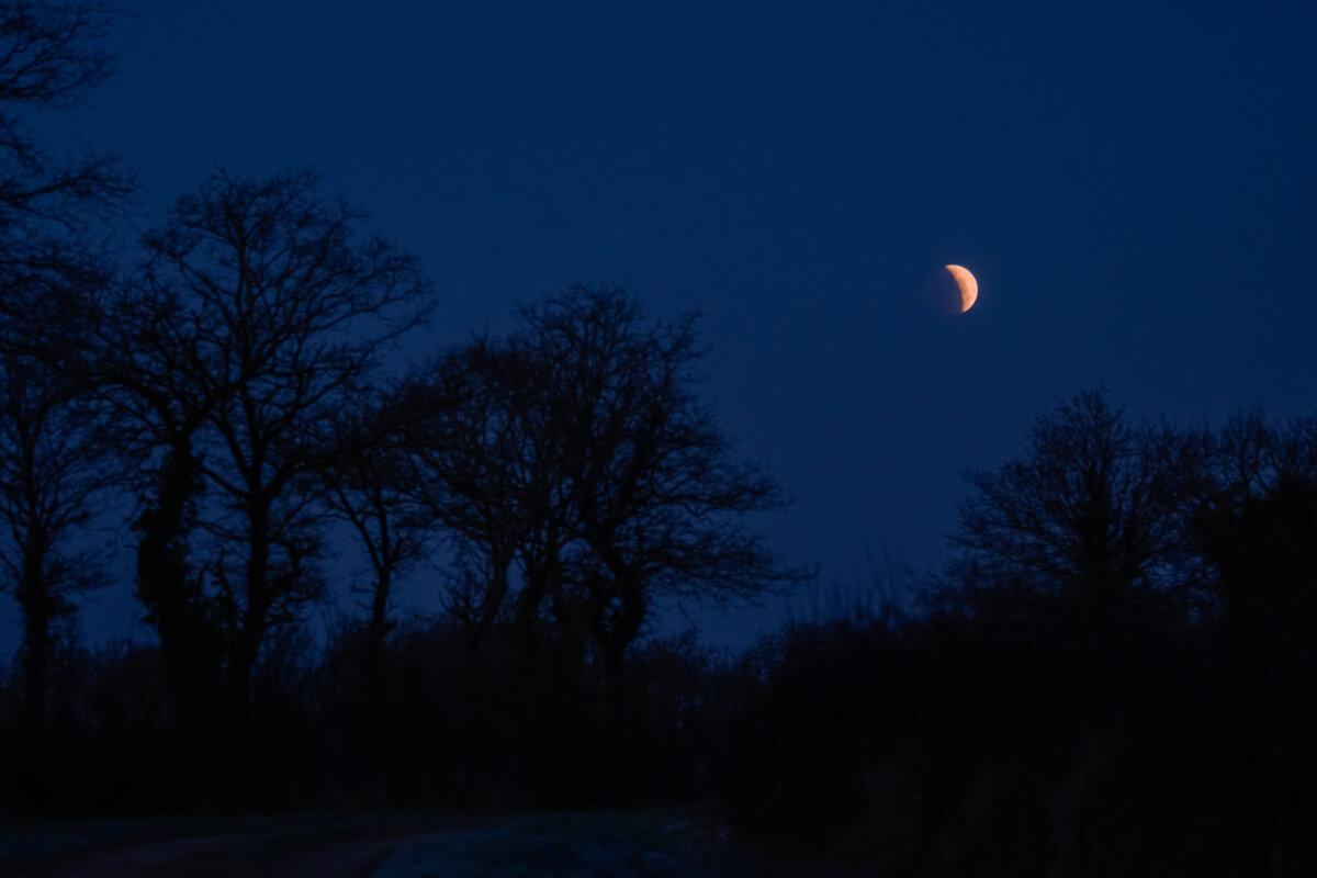 Total lunar eclipse over the countryside in Rouans, western France, at dawn on March 14, 2025. (Maylis Rolland/Hans Lucas/AFP via Getty Images)