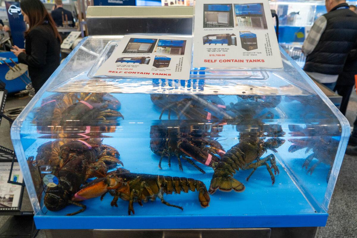 Seafood preservation machines showcased in the Seafood Expo North America in Boston, Mass., on March 16, 2025. (Learner Liu/The Epoch Times)