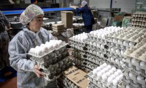 US Will Import Eggs From Turkey, South Korea: Agriculture Secretary