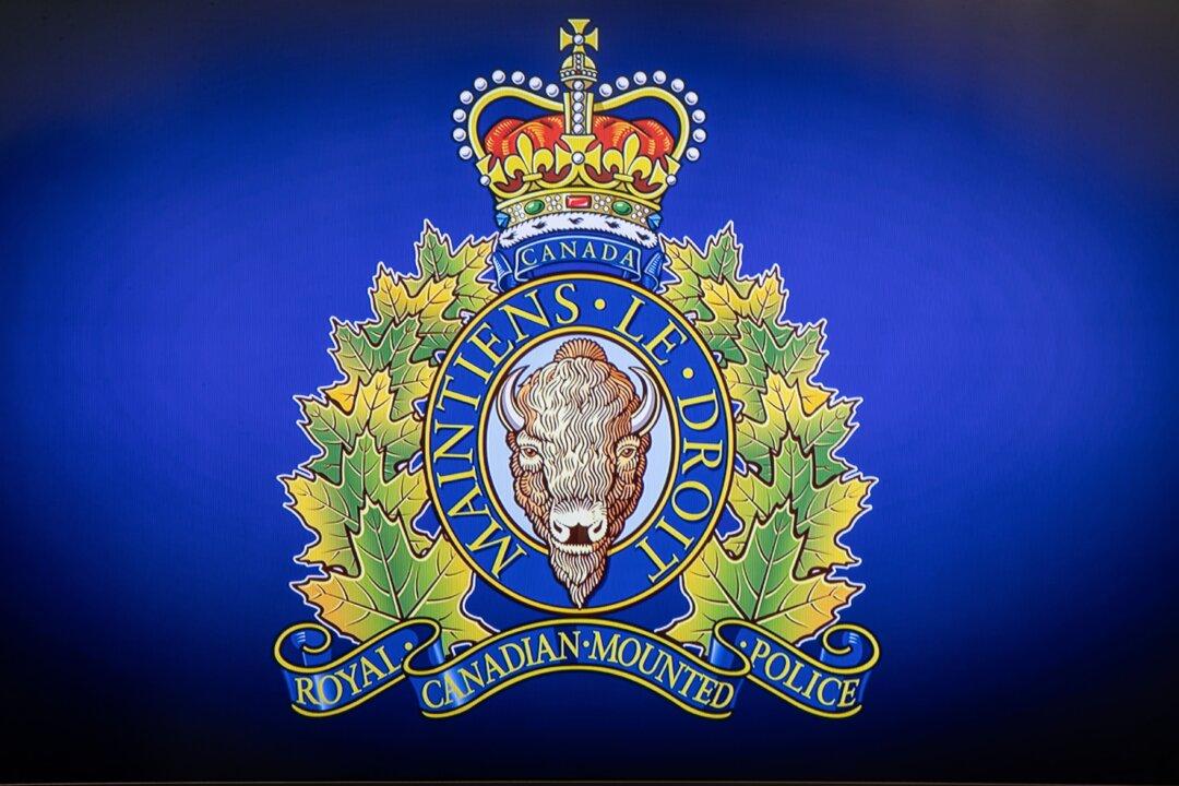 Falling Tree Kills Mother, 26, and Five-Month-Old Baby at BC Campground