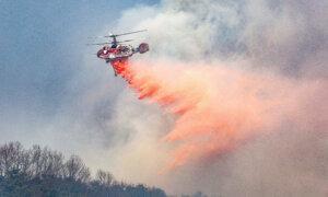 At Least 24 Dead as Wildfires Ravage Southern South Korea and Force Thousands to Evacuate