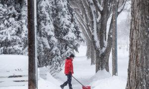 Snow, Freezing Rain Hitting Much of Canada Causing Crashes, Road Closures