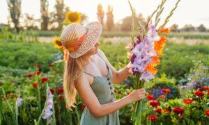 Grow Your Own Bouquets: How to Start a Cut Flower Garden