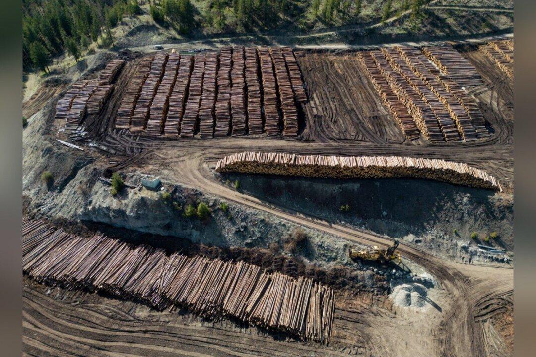Canada Drops 2 Appeals of US Anti-Dumping Duties on Softwood Lumber