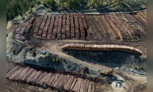 BC Premier to Meet With Mark Carney Over the Soaring Lumber Duties Imposed by US