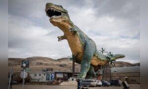 ‘Special to the World’: Supporters Hope to Save Beloved Drumheller Dinosaur