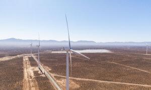 Adelaide in Prime Position to Host COP31 as Australia Pushes for UN Climate Event