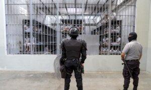 Rubio Says 10 More Alleged Criminal Gang Members Deported to El Salvador