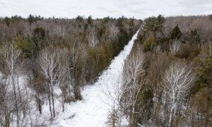 Woman, Two Young Children Missing After Trying to Cross Border Into Canada: RCMP