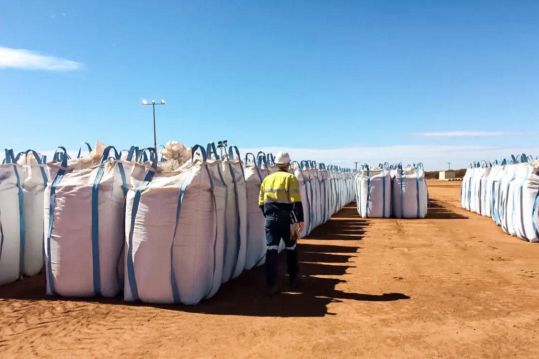 Australia Mulls Price Floor for Rare Earths to Back Critical Minerals Sector