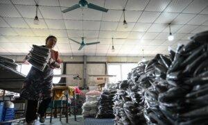 Trump Finds Inadvertent Allies in His Trade War With China