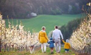 What You Should Know About Estate Taxes This Year