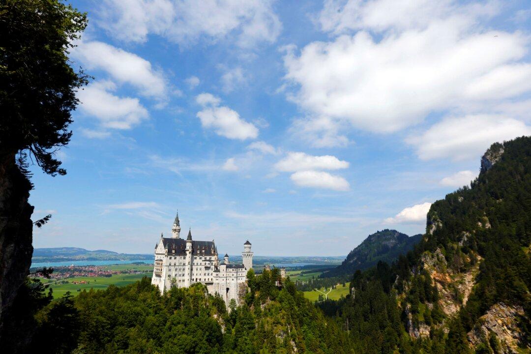 Dog Survives Hot Locker Ordeal at Germany’s Neuschwanstein Castle