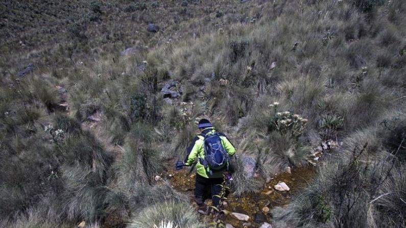 Teenage Hiker Found Dead on Mexico’s Third Highest Peak After Sending Video