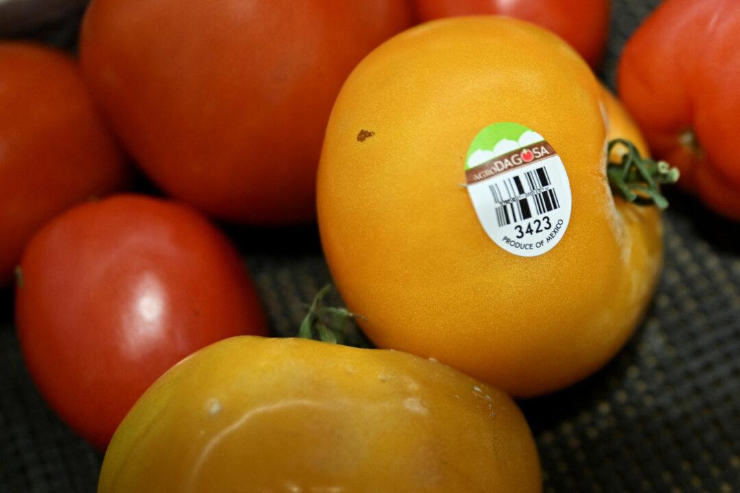 US Imposes 17 Percent Tariff on Fresh Tomato Imports From Mexico