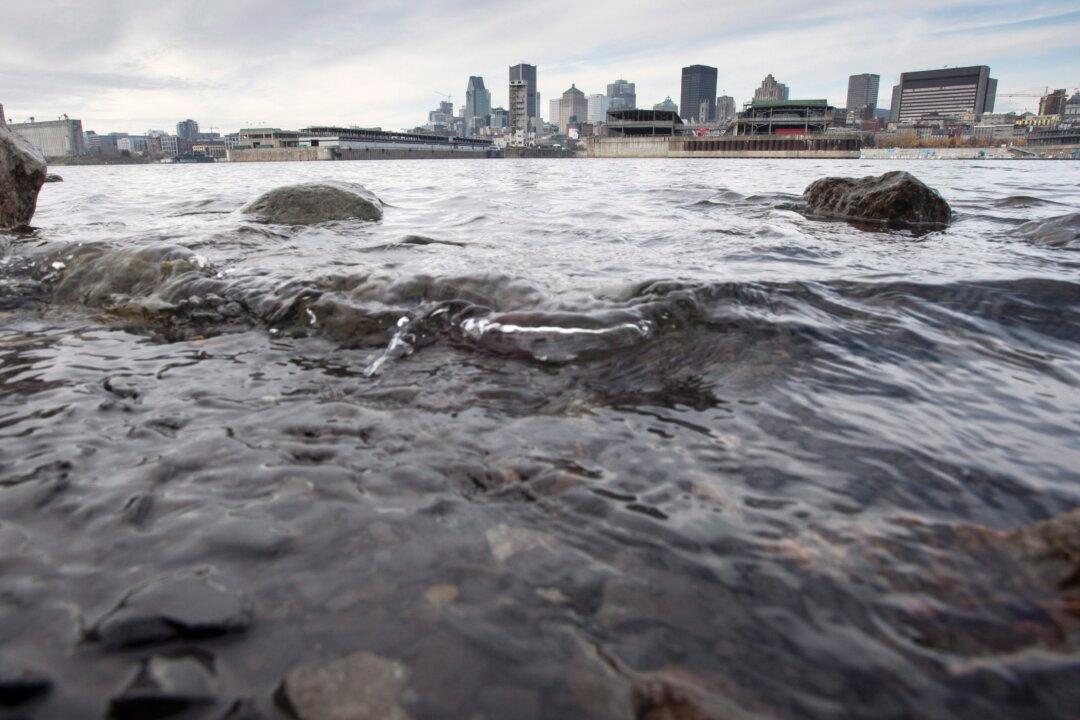 Low Water Levels in Quebec Rivers Spur Navigation Warnings, Watering Bans