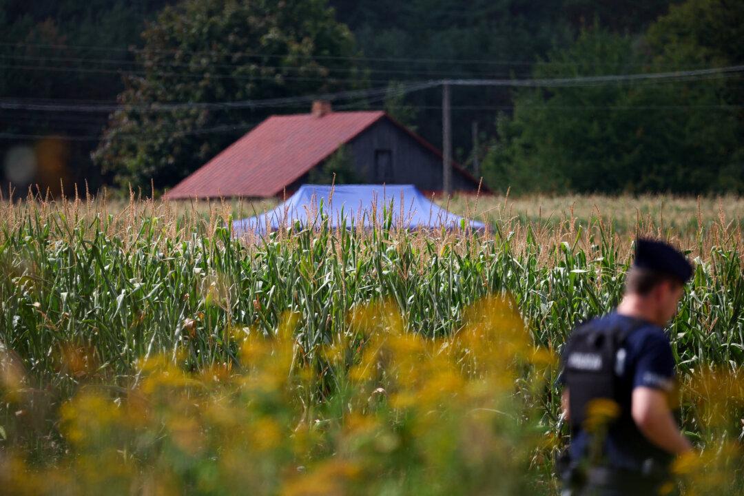 Russian Drone Fell in Eastern Poland, Warsaw Says