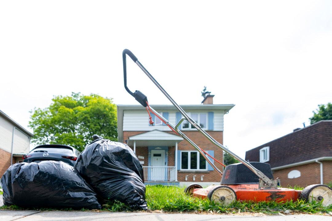 Montreal Mayor Hopefuls Promise to Dump Plan for Biweekly Garbage Pickup in Borough