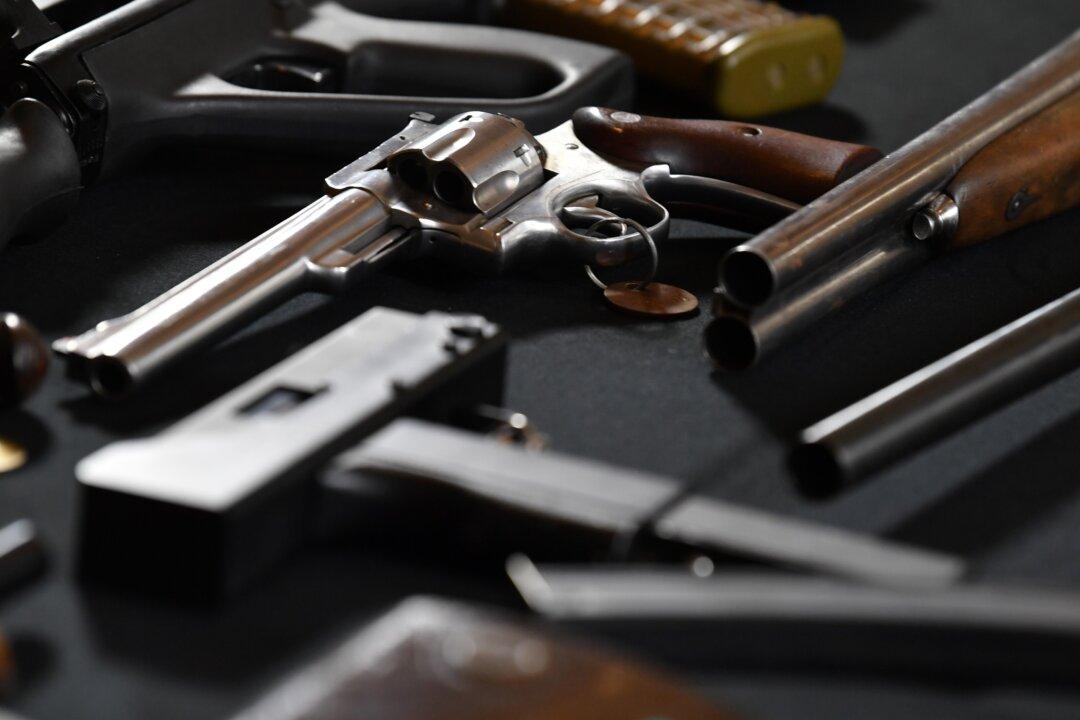 Labor, Nationals MP Call for National Firearm Registry to Be Fast-Tracked After Police Killing