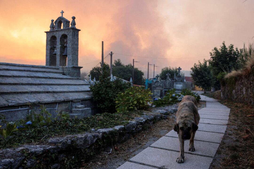 Spain Battles 20 Major Wildfires, Deploys More Troops