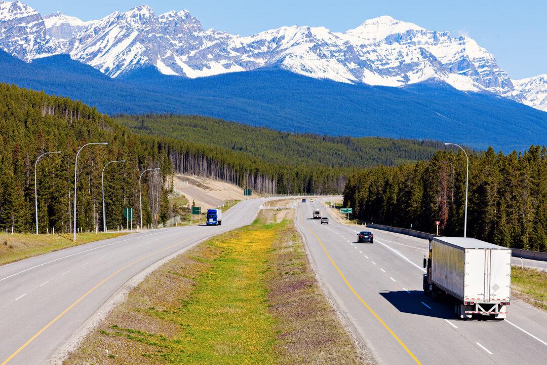 Alberta Shuts Down Driving Schools, Trucking Companies, for Not Meeting Provincial Standards