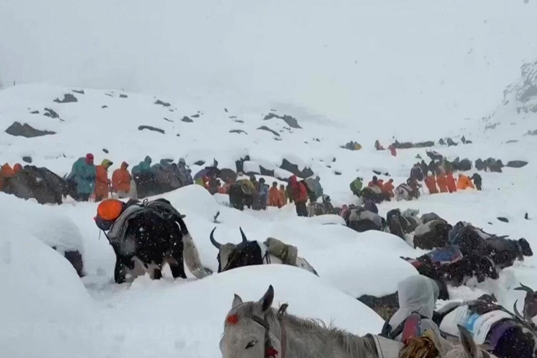 All Stranded Everest Hikers Evacuated From Remote Tibetan Valley