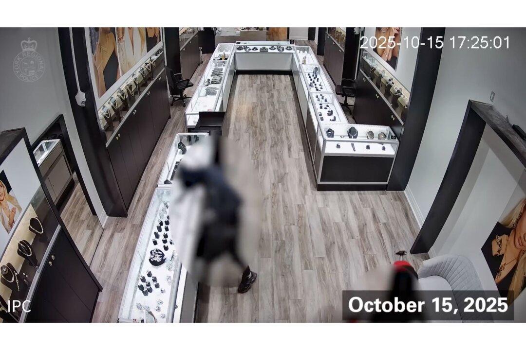 Police Release Video of Southern Ontario Smash-and-Grab as Search Continues for One Suspect