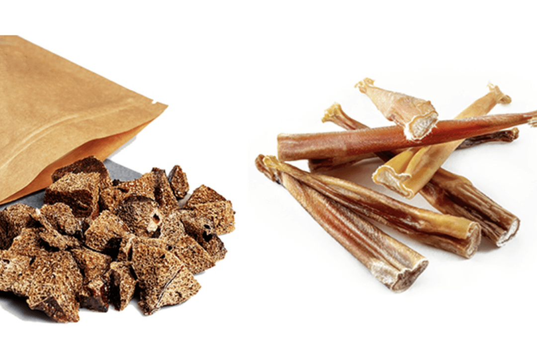 Salmonella Outbreak in Canada Linked to Dog Treats: Public Health Notice