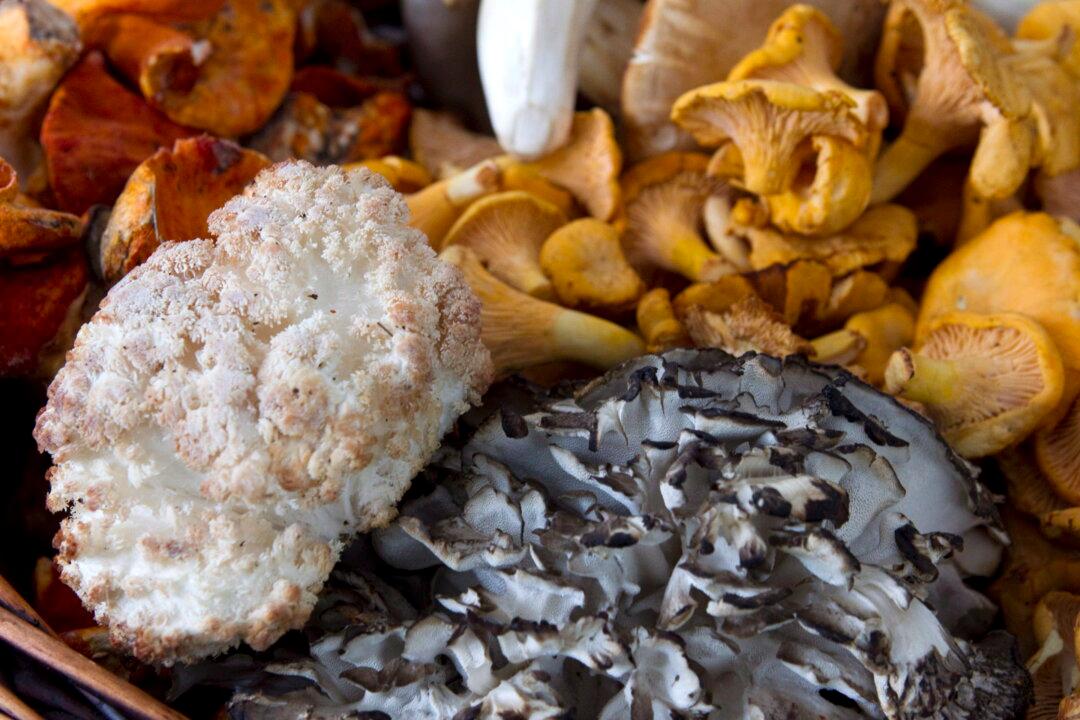 US Investigations Into Canadian Mushroom Imports to Move Ahead