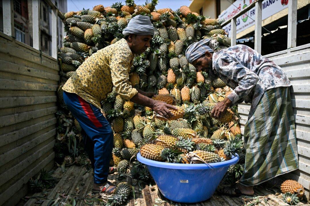 Workers unload pineapples from a truck at the KR Market in Bengaluru on February 9, 2026. (Photo by Idrees MOHAMMED / AFP via Getty Images)