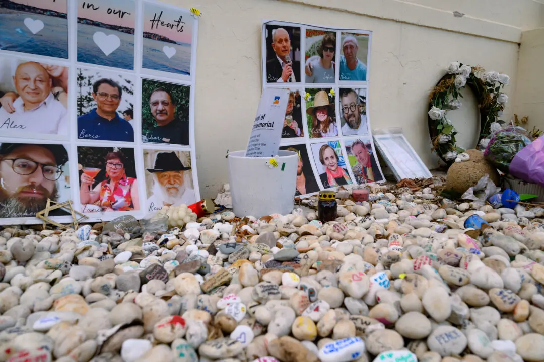 Bondi Shooter Breaks Silence at Court Hearing