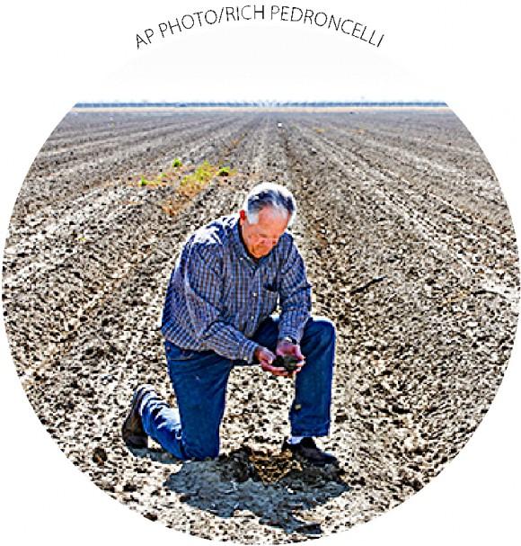 Mike Stearns, chairman of the San Luis & Delta-Mendota Water Authority, checks soil moisture levels near Firebaugh, Calif., on Feb. 25. Stearns had to fallow thousands of acres due to water cutbacks.
