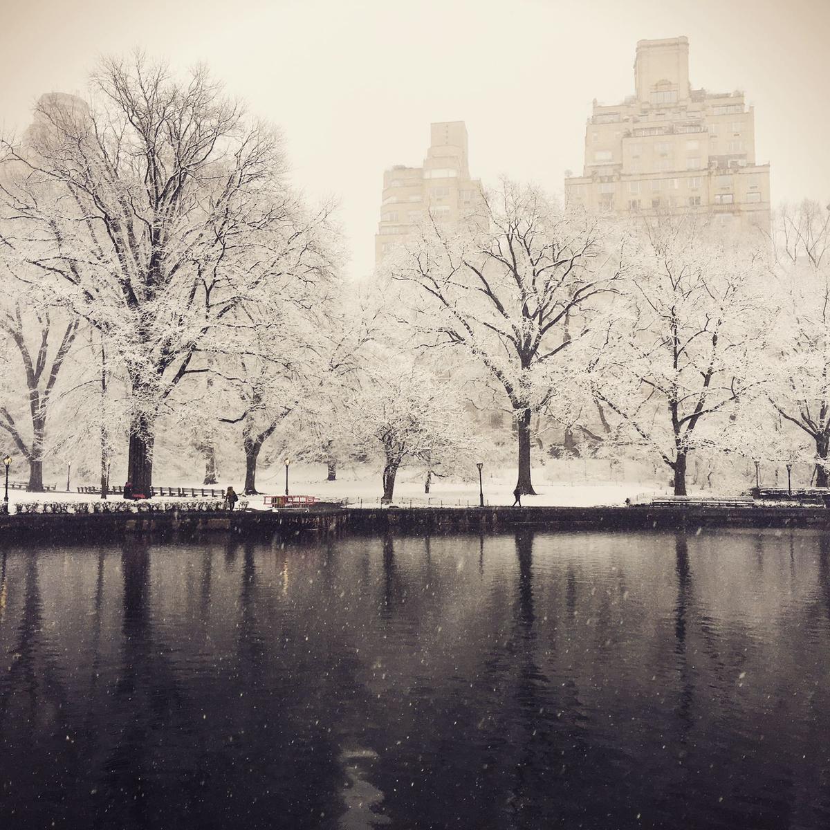 Central Park in New York. (Photo by Ceyda Erdinc)