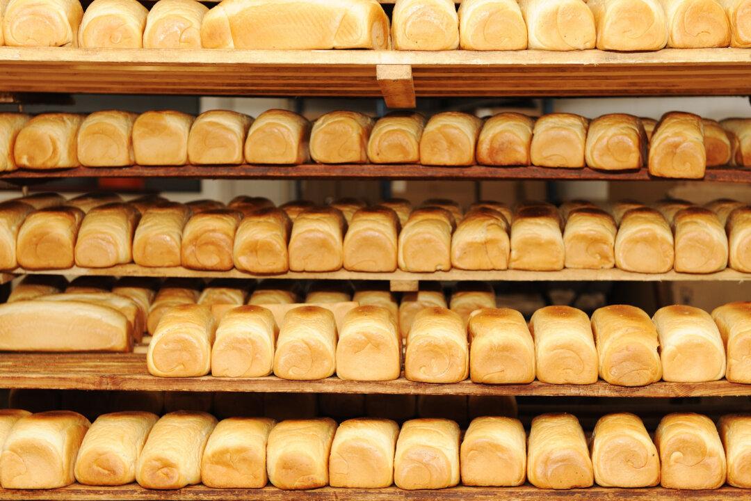 Different Factors Contribute to Autoimmunity, but Gluten Sensitivity Is a Common One