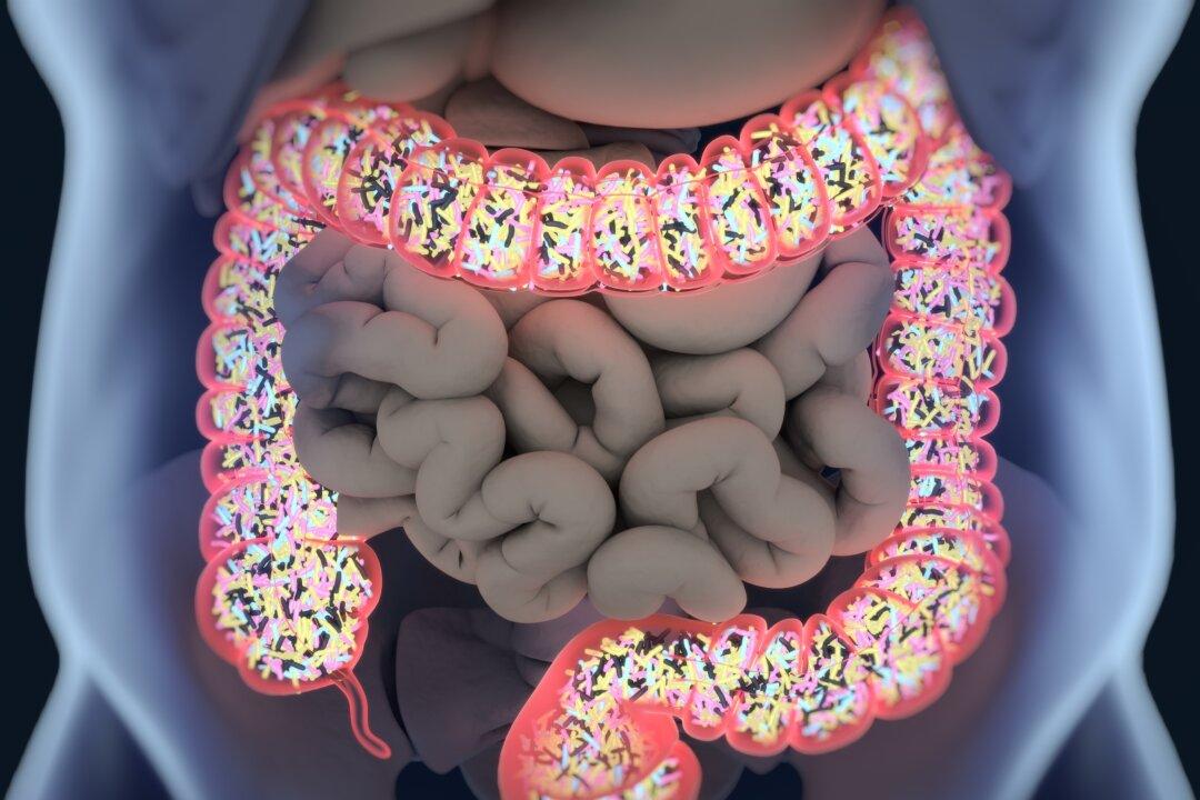 Could the Secret to Managing Autoimmune Diseases Like Hashimoto’s Be Hiding in Your Gut?