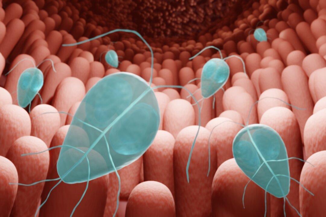 Preventing Parasite Overgrowth Through Effective Detox and Immune Health