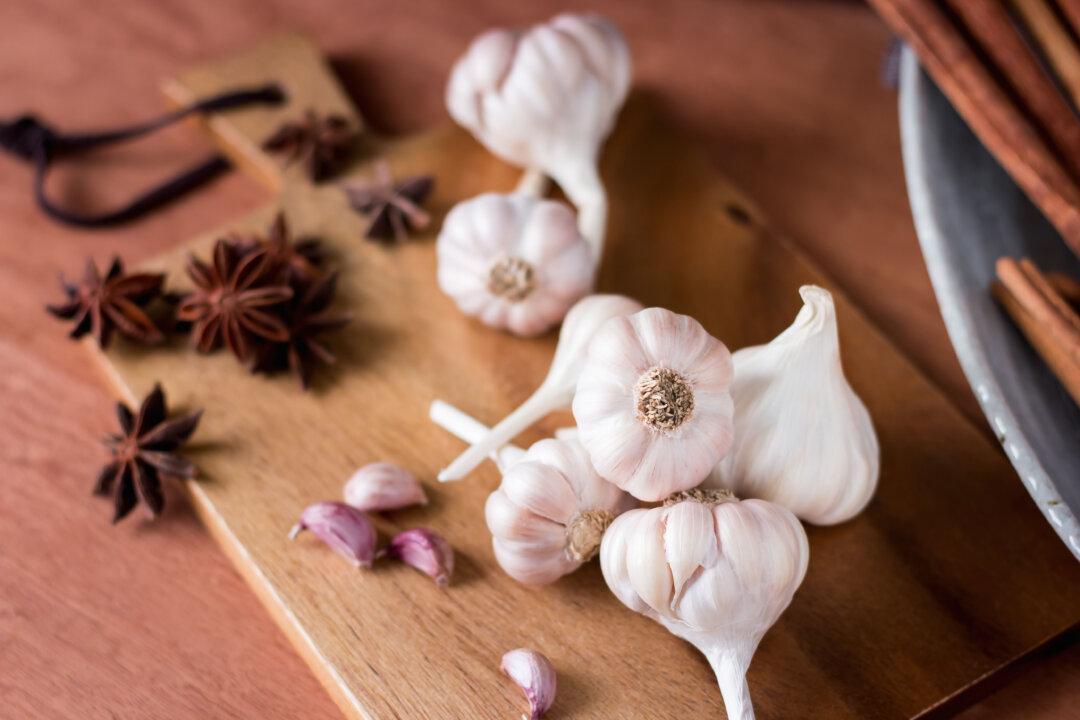 Natural Remedies for Parasite Infections