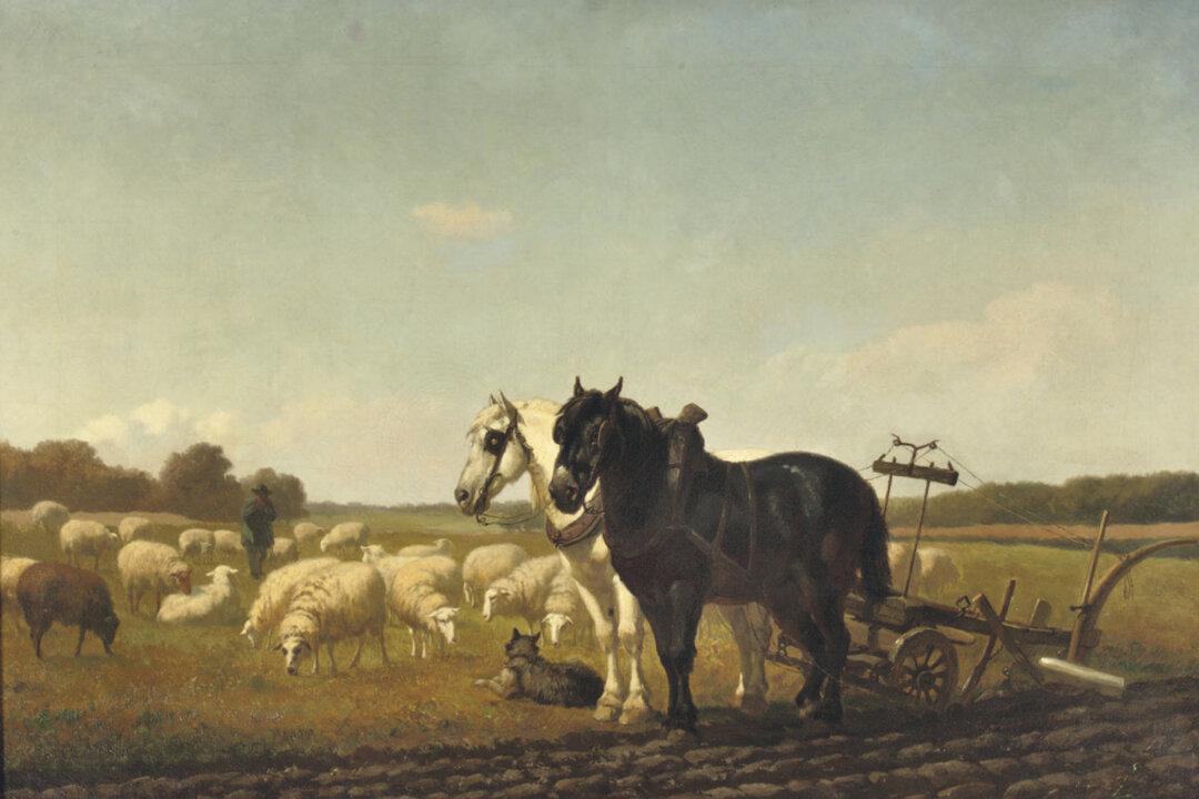 How the Seed Drill Changed Our Lives