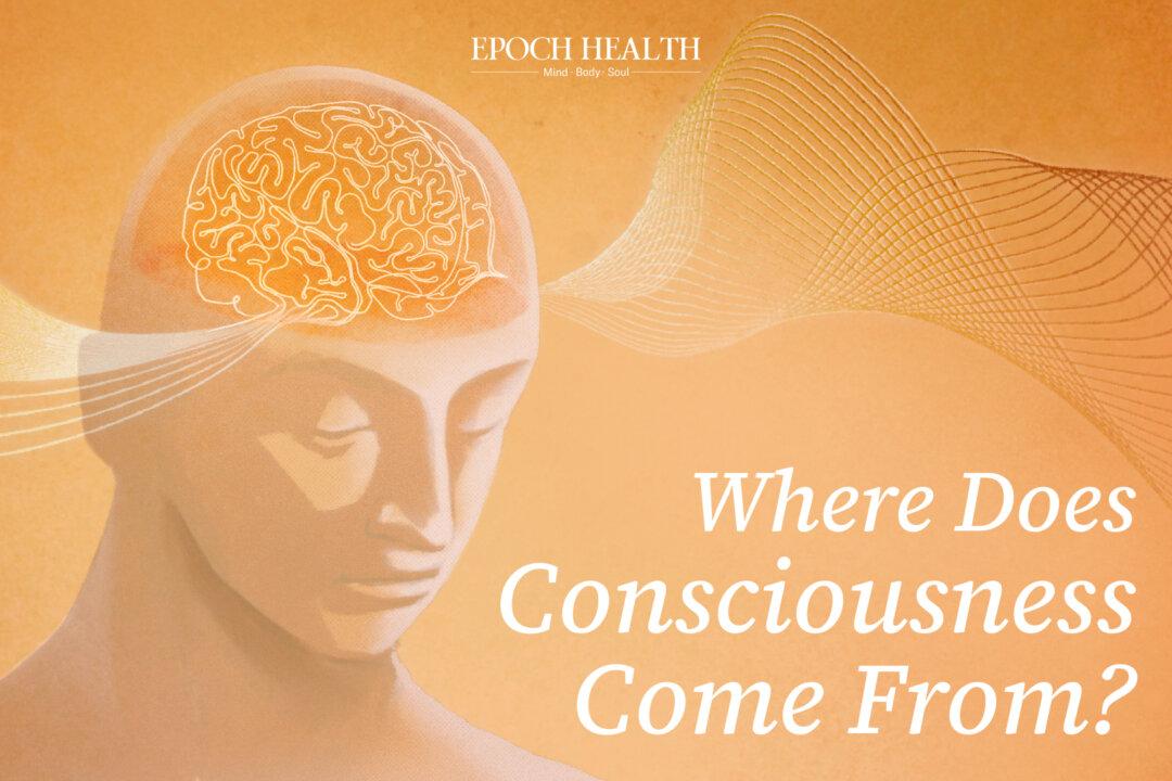 Where Does Consciousness Come From?