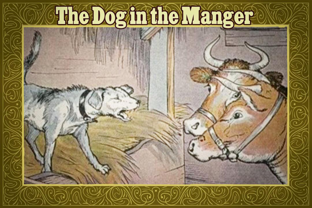 Aesop’s Fables: Greedy Dog Doesn’t Let Hungry Cattle Get Near Manger—Learns a Lesson