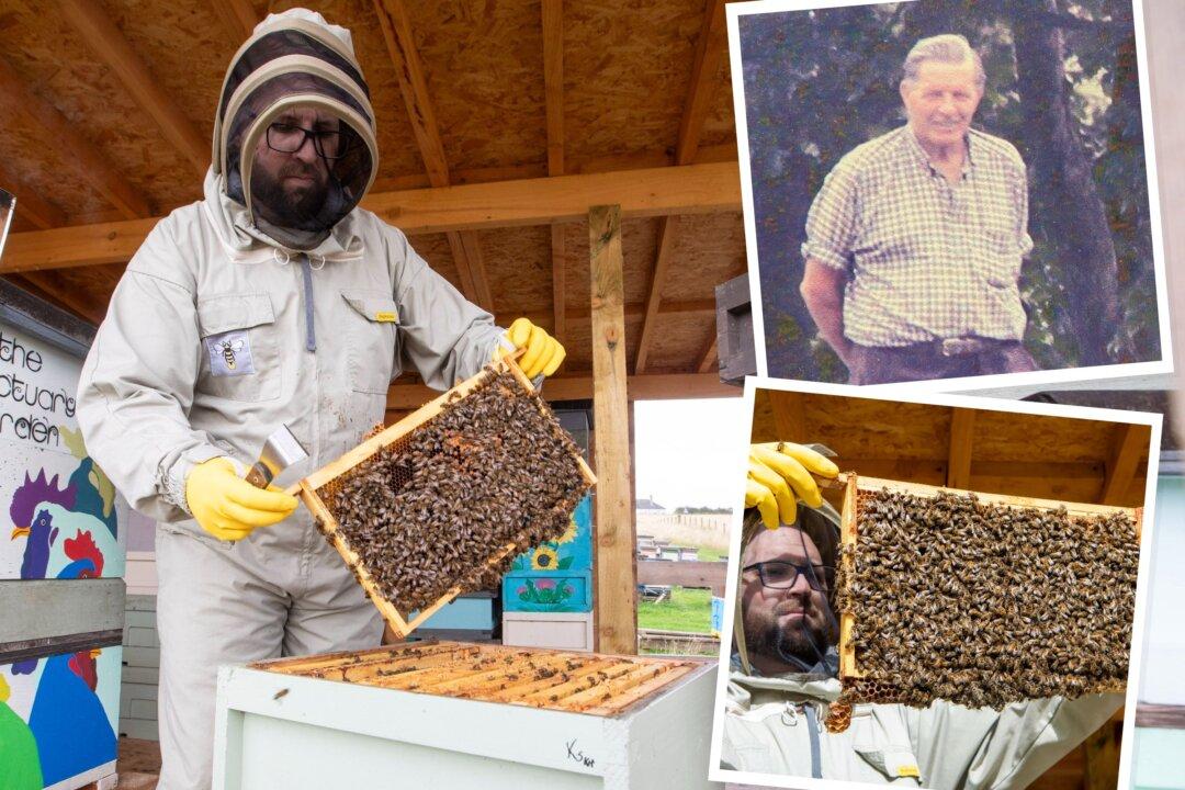 Beekeeper Finds Late Grandpa’s Long-Lost Hives Are Still Alive, Creates a Honey Firm
