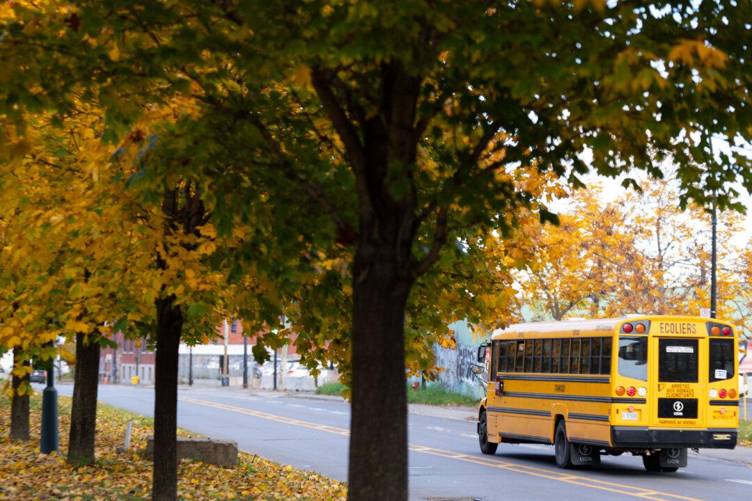 Blackboard Jungle 2025: What’s Driving the Epidemic of School Violence in Canada?