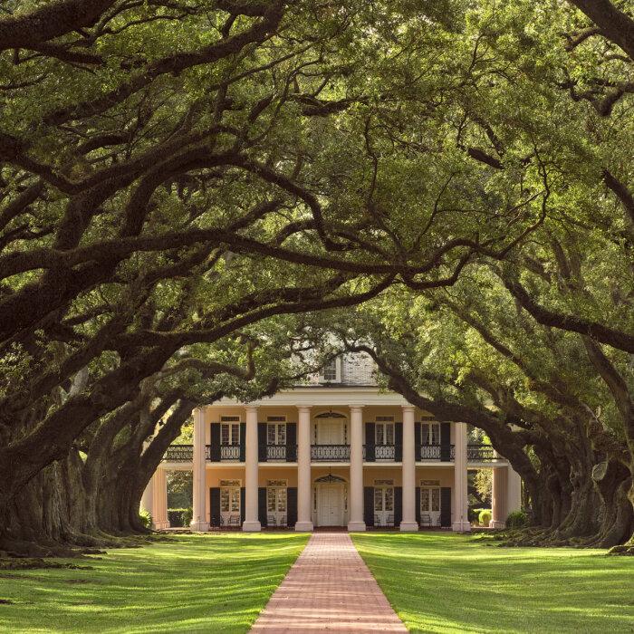 Oak Alley Plantation: A Stately Mansion Among Treasured Trees