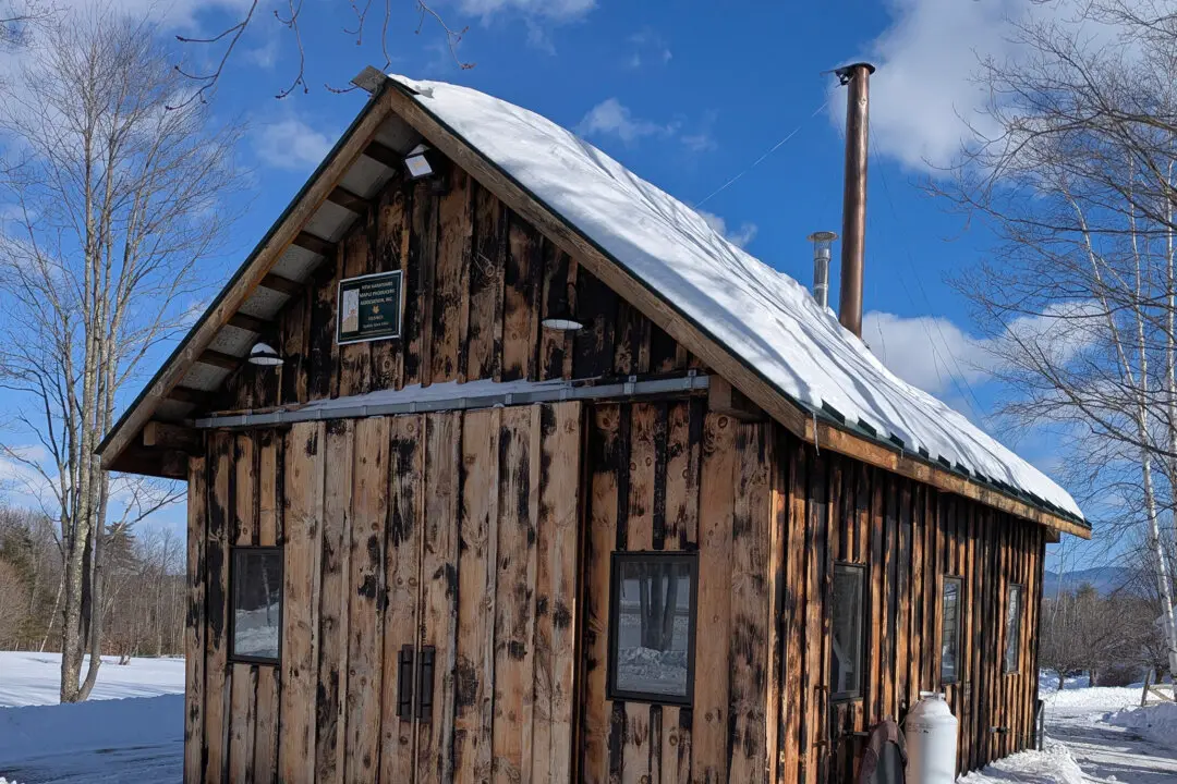 Ask the Builder: DIY Wood Preservatives