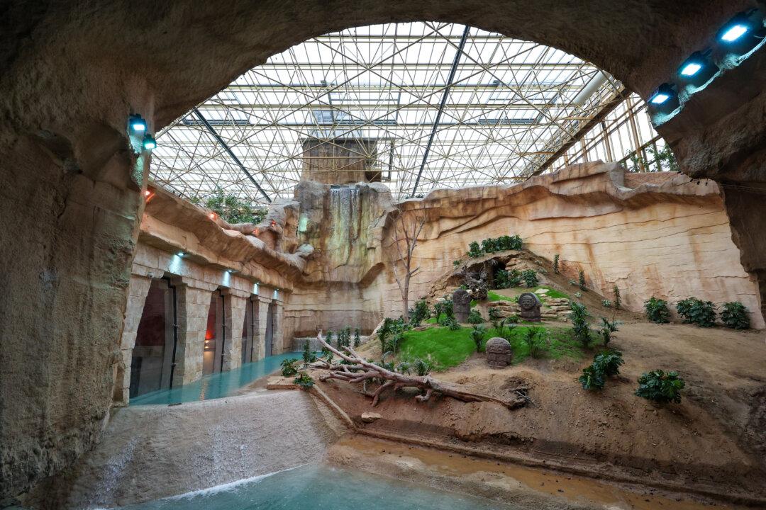 This photograph shows a general view of Edenya, the world's largest tropical greenhouse during a press conference as part of its' preview opening at the Pairi Daiza animal park, in Brugelette, south-western Belgium on February 6, 2026. Edenya is a 4-hectare tropical garden where more than 200 animal species and nearly 1,800 plant species thrive in a glass-roofed environment with temperature control throughout the year. (Photo by VIRGINIE LEFOUR / Belga / AFP via Getty Images) / Belgium OUT