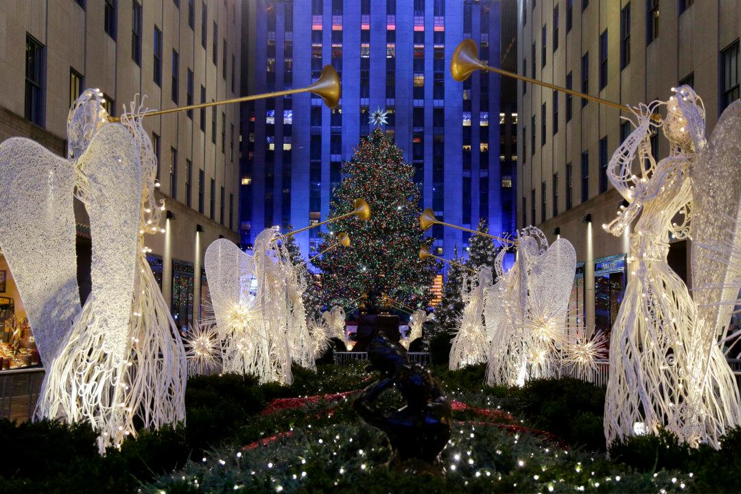 80-foot Norway Spruce Gets Nod as Rockefeller Center Christmas Tree, Will Be Cut Down Next Week