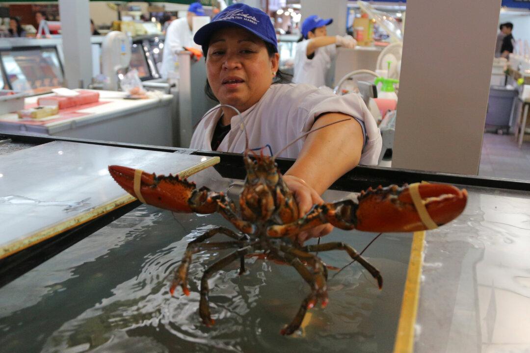 86% of Canadians Eat Fish or Seafood for Nutrition, Despite High Prices: Survey