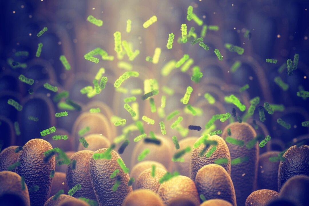 Innovative New Method May Allow Doctors to Target ‘Bad’ Gut Microbes