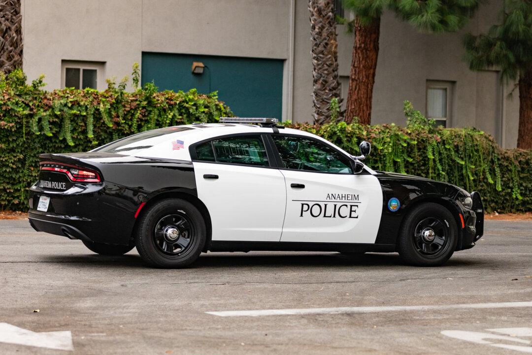 8 Arrested After Suspects Ram Car Into California Jewelry Store